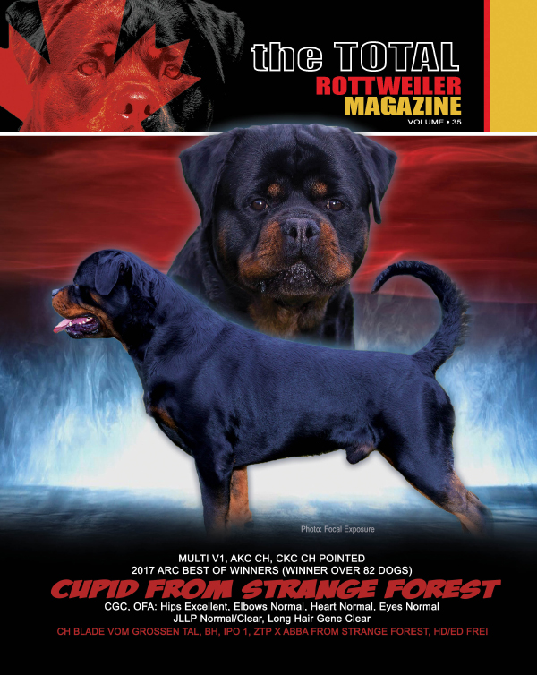 The Total Rottweiler Magazine – Rottweilers are our passion